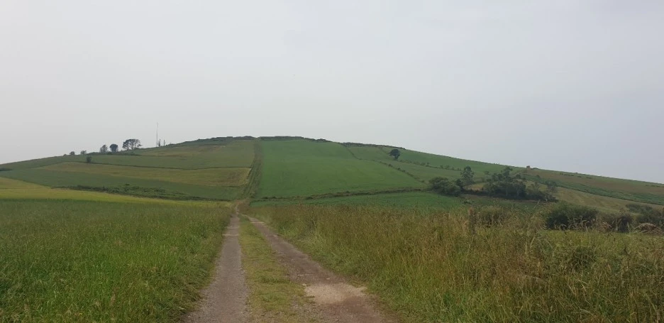 KakaoTalk_20220621_021007134_08.jpg?type=w1