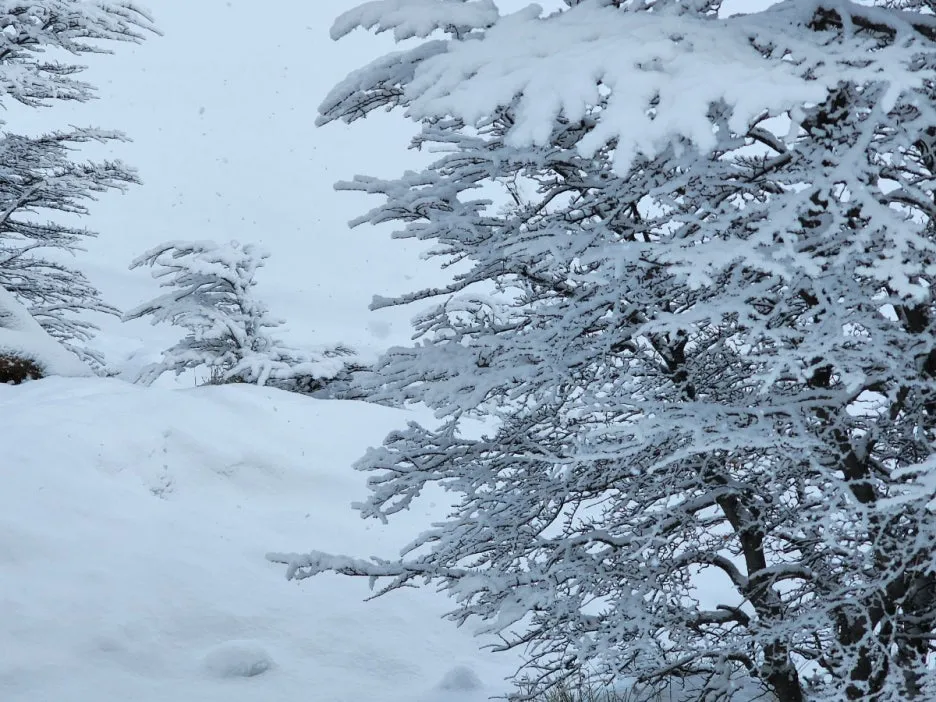 KakaoTalk_20240806_083145095_05.jpg?type=w1