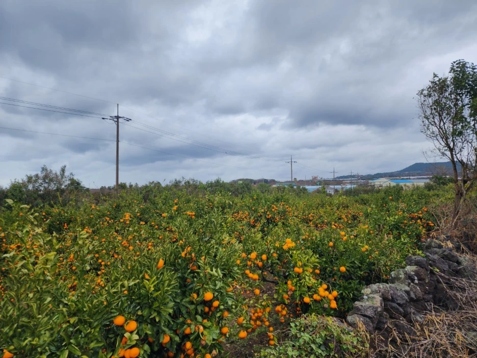 KakaoTalk_20221227_233016012_07.jpg?type=w1