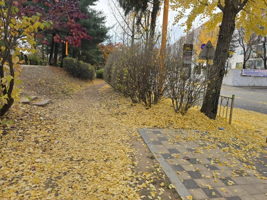 KakaoTalk_20241126_043530012_07.jpg?type=w1