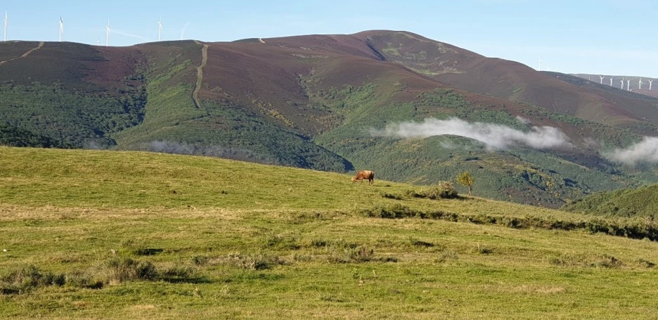 KakaoTalk_20220608_014443366_07.jpg?type=w1