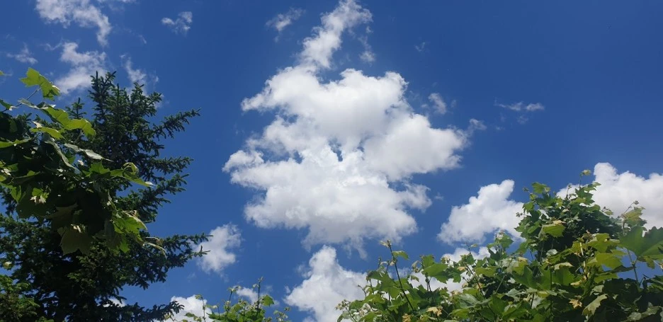 KakaoTalk_20220603_002933903_03.jpg?type=w1