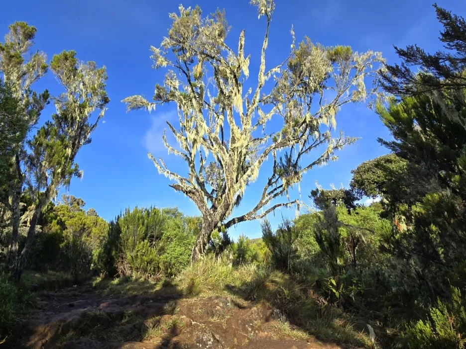 KakaoTalk_20250405_061148519_14.jpg?type=w1