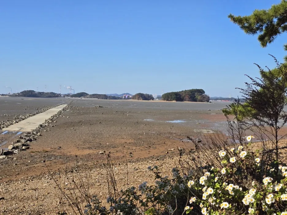 KakaoTalk_20241122_202414998_25.jpg?type=w1