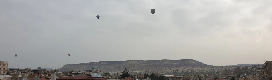 SE-2997f973-88bb-45c0-9430-572e16d2354f.jpg?type=w1