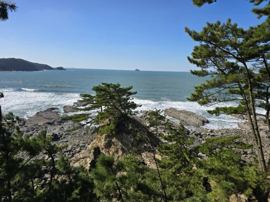 KakaoTalk_20241107_045832646_25.jpg?type=w1