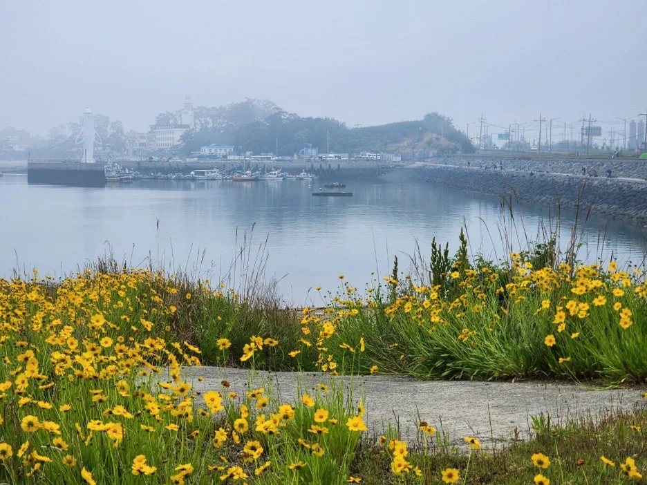 KakaoTalk_20240521_140452510_14.jpg?type=w1