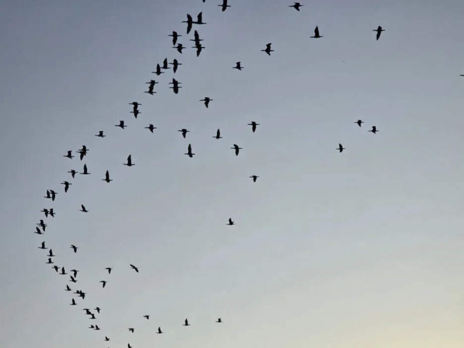 KakaoTalk_20241102_064540914_03.jpg?type=w1