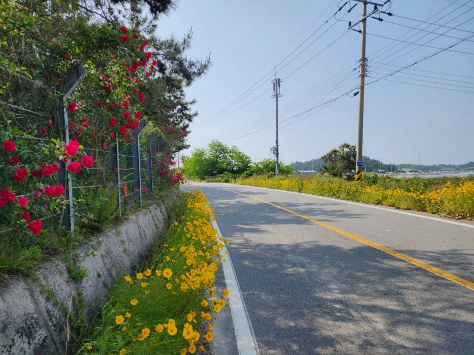 KakaoTalk_20240525_165017986_17.jpg?type=w1