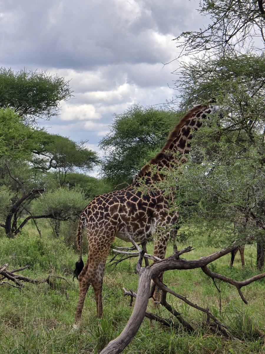 KakaoTalk_20250405_112215504_04.jpg?type=w1