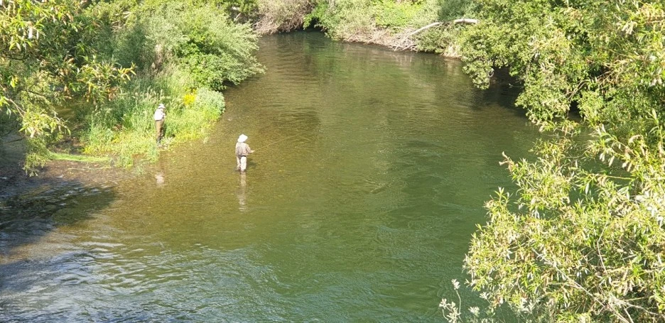 KakaoTalk_20220605_012004343_05.jpg?type=w1