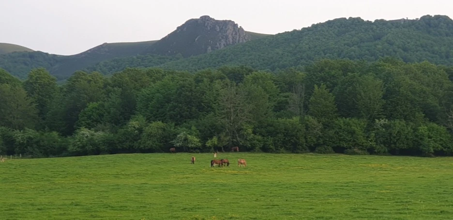 KakaoTalk_20220521_082725469_03.jpg?type=w1