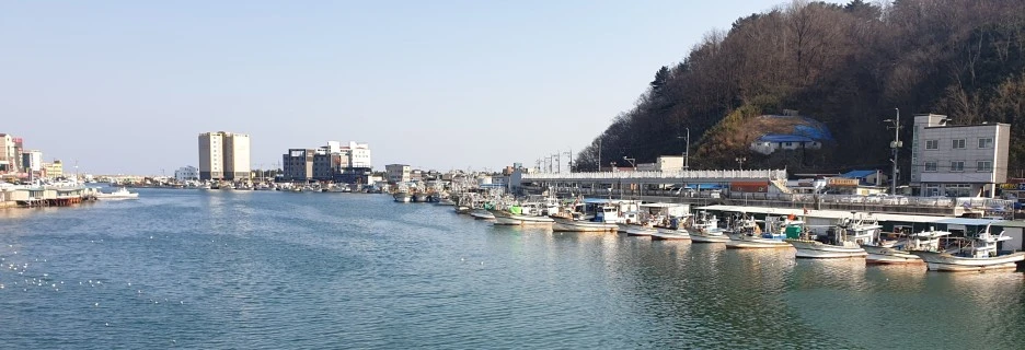 SE-1519f1aa-b068-4f47-b5ae-e84d53388edf.jpg?type=w1