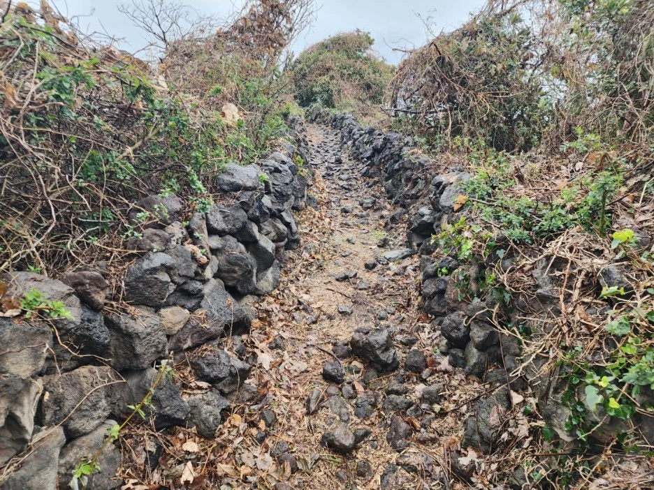 KakaoTalk_20221227_233016012_11.jpg?type=w1