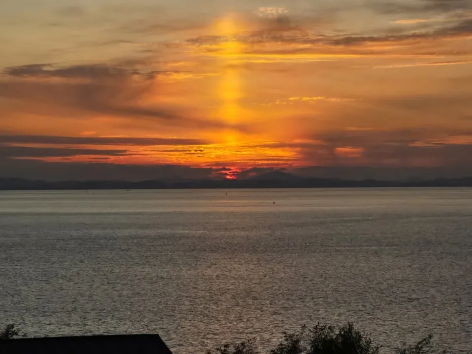 KakaoTalk_20241230_042706929_01.jpg?type=w1