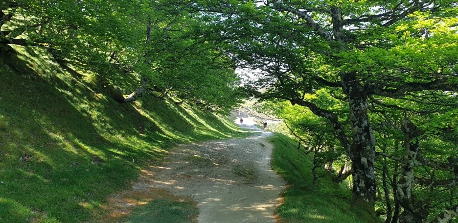 KakaoTalk_20220520_230646734_03.jpg?type=w1