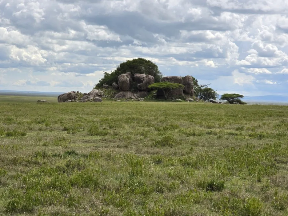 KakaoTalk_20250405_134443007_18.jpg?type=w1