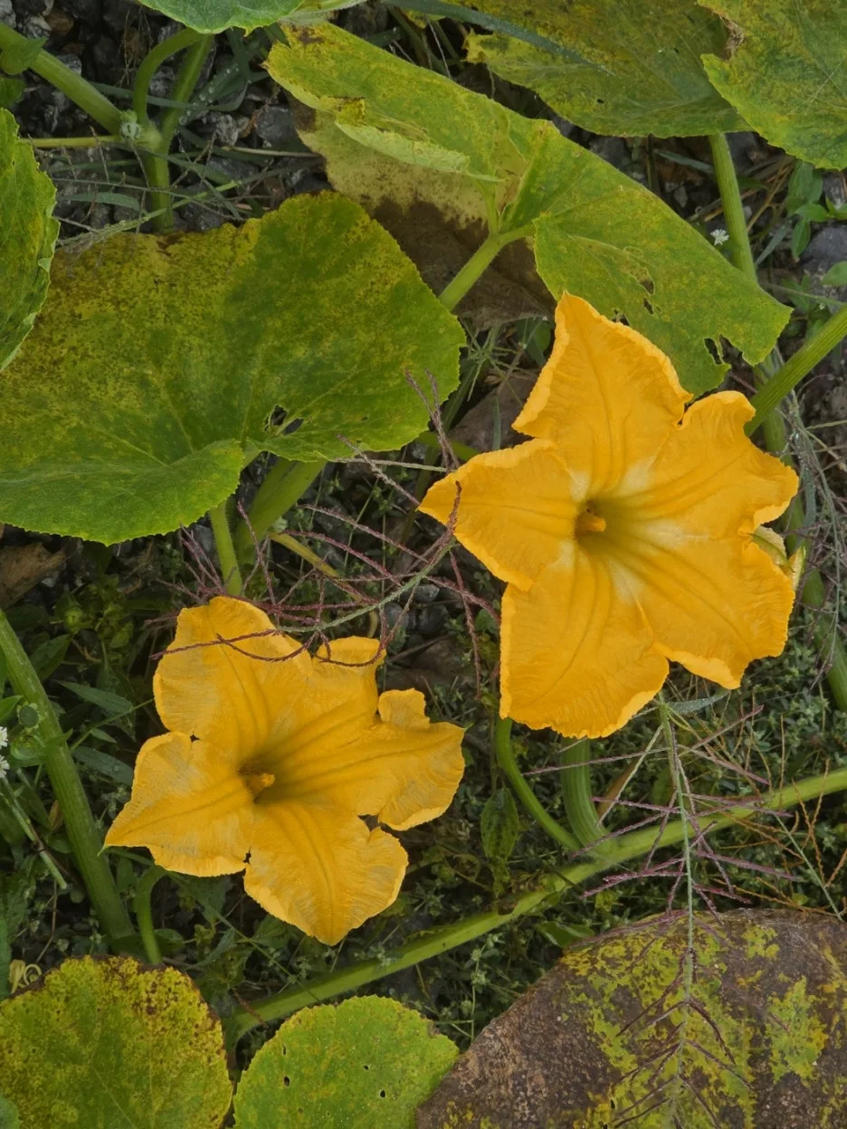 KakaoTalk_20241023_023745528_01.jpg?type=w1