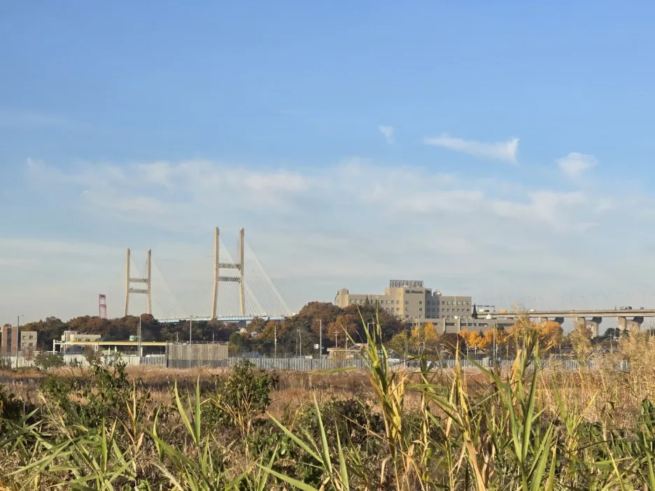 KakaoTalk_20241120_031352450_08.jpg?type=w1