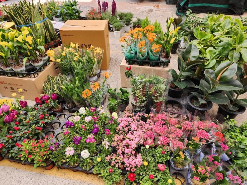 KakaoTalk_20230312_033555235_12.jpg?type=w1