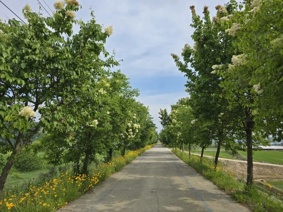 KakaoTalk_20250613_195634658_13.jpg?type=w1