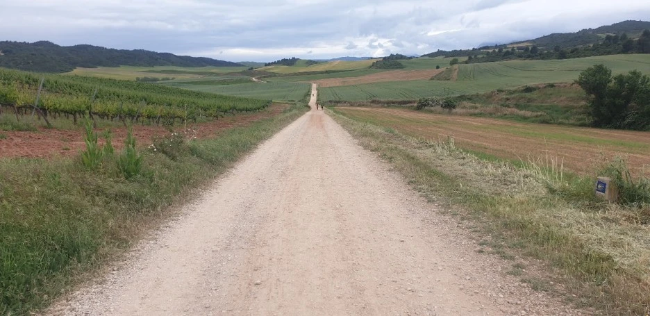 KakaoTalk_20220524_210115819_01.jpg?type=w1