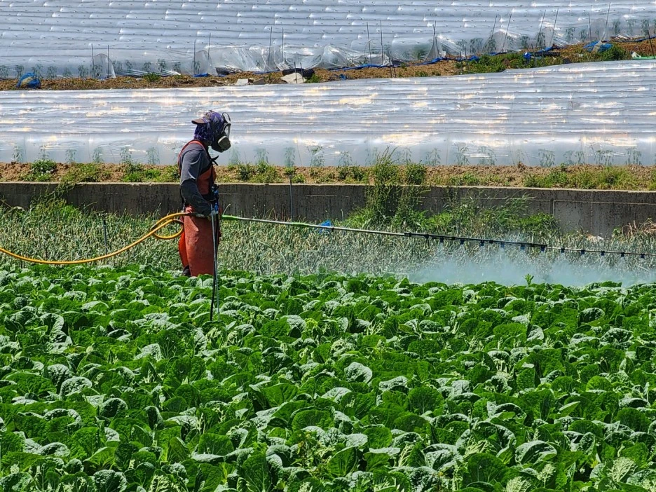 KakaoTalk_20240511_041926496_19.jpg?type=w1