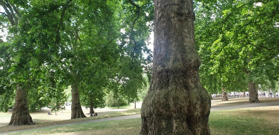 KakaoTalk_20220709_210840981_06.jpg?type=w1