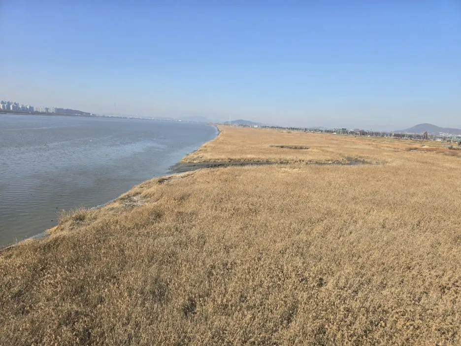 KakaoTalk_20241224_043324914_21.jpg?type=w1