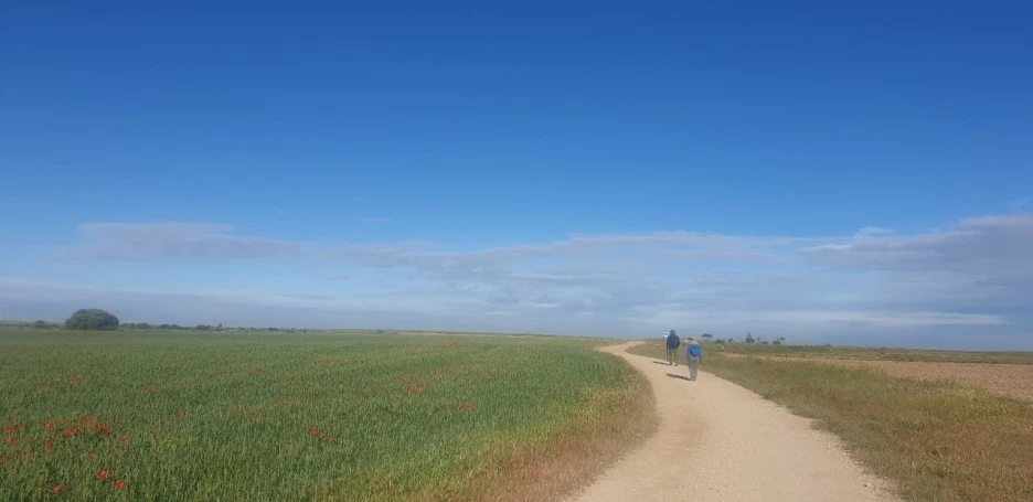 KakaoTalk_20220601_001743765_05.jpg?type=w1