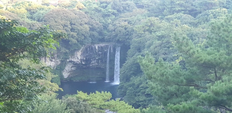 KakaoTalk_20220831_114021886.jpg?type=w1