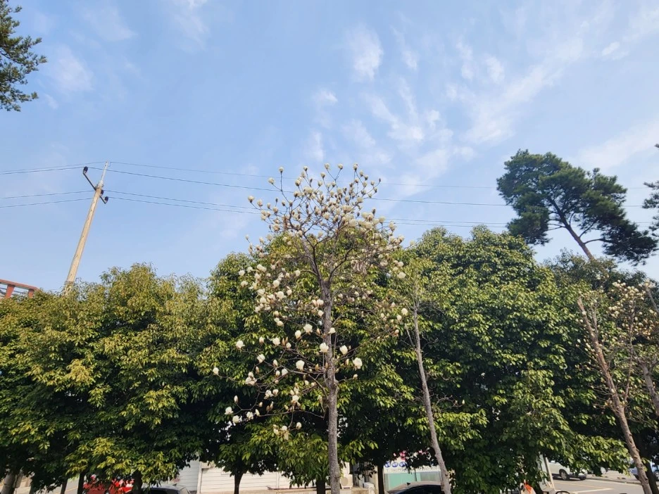 KakaoTalk_20230312_033555235_06.jpg?type=w1