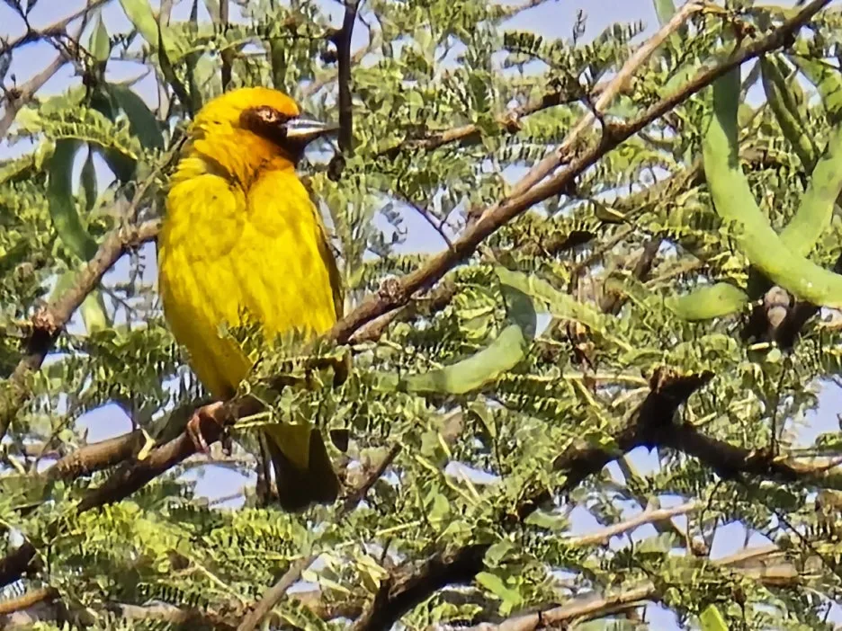 KakaoTalk_20250405_135250372_01.jpg?type=w1