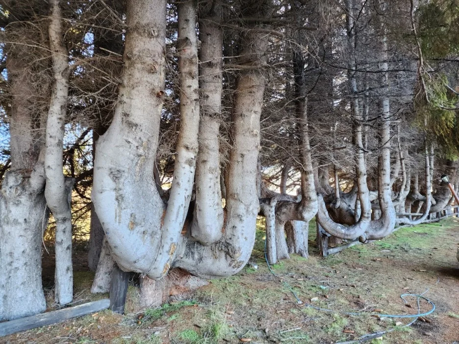 KakaoTalk_20240801_065356008_02.jpg?type=w1