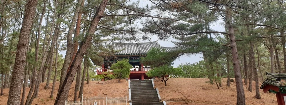 SE-f53369ae-f21a-42ff-99be-4030ca698e61.jpg?type=w1