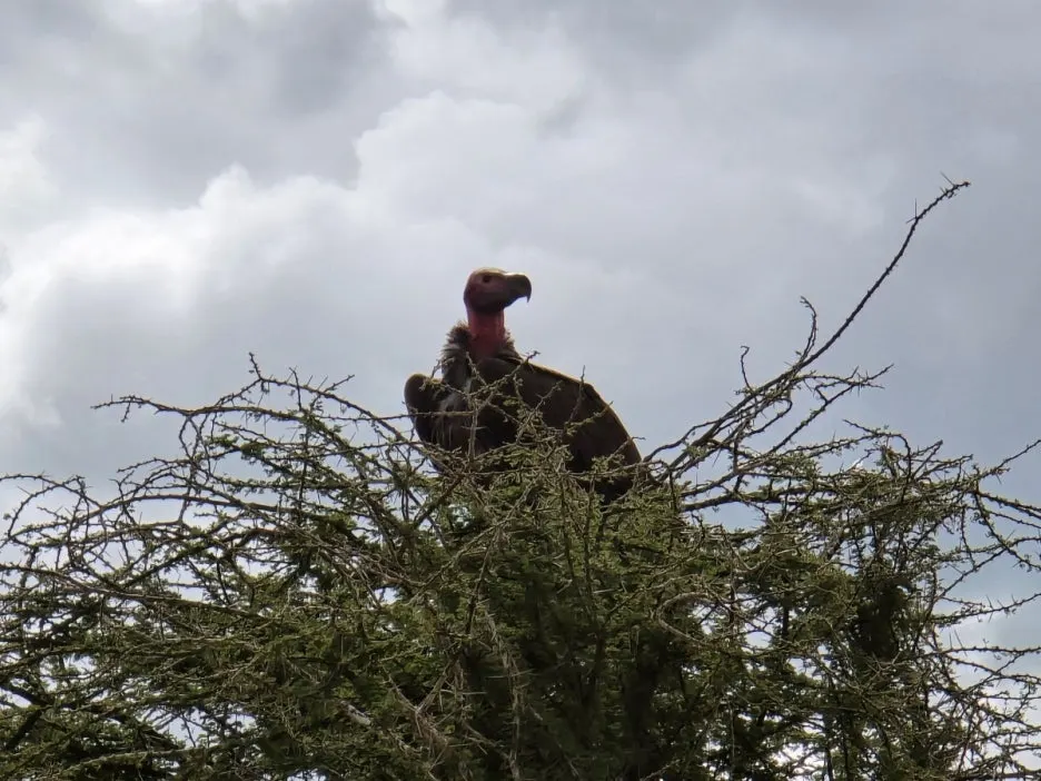 KakaoTalk_20250405_134443007_16.jpg?type=w1