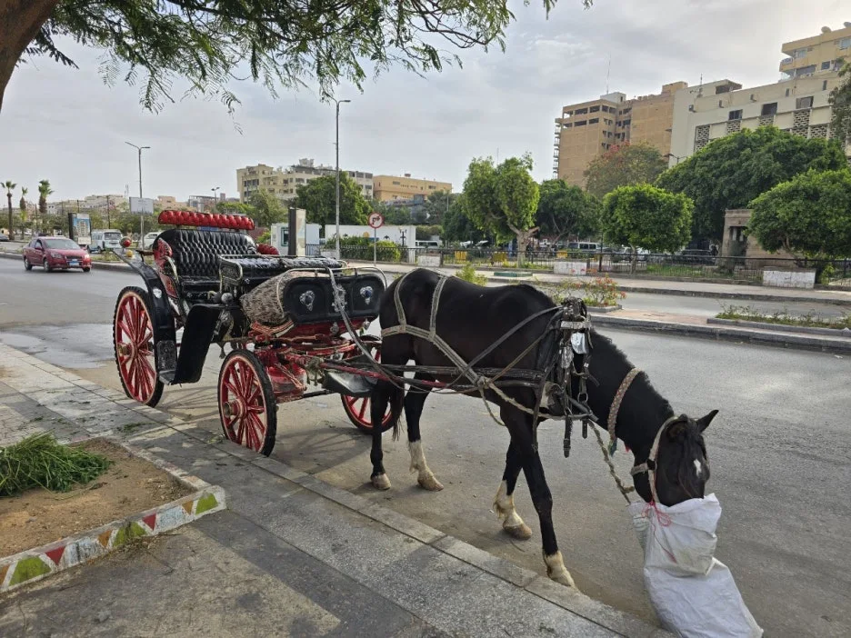 KakaoTalk_20250224_001542009_09.jpg?type=w1