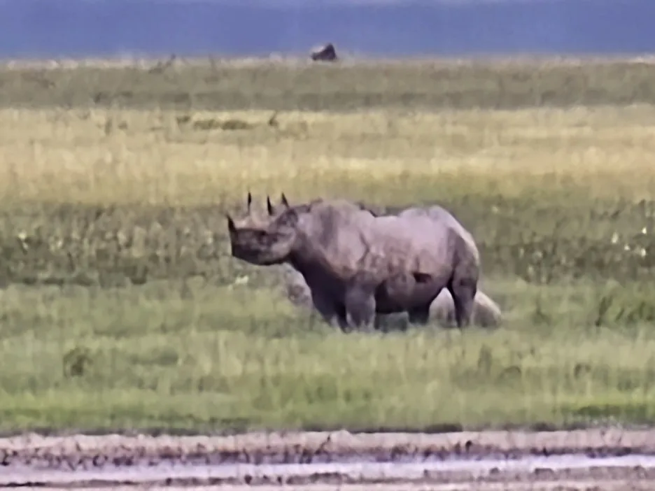 KakaoTalk_20250405_153815245_07.jpg?type=w1