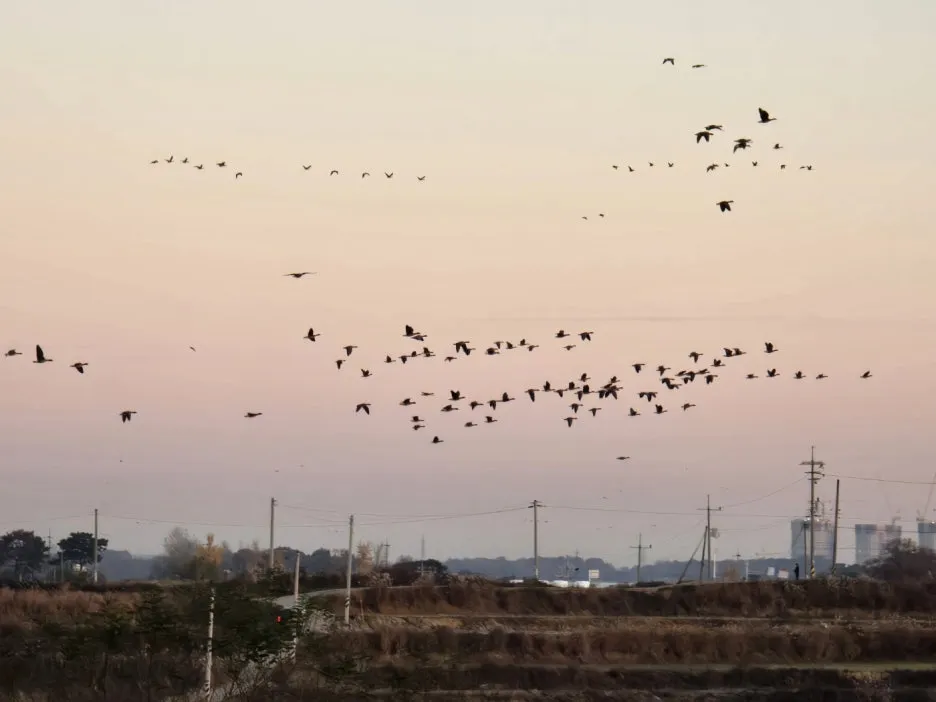 KakaoTalk_20241120_031352450_03.jpg?type=w1