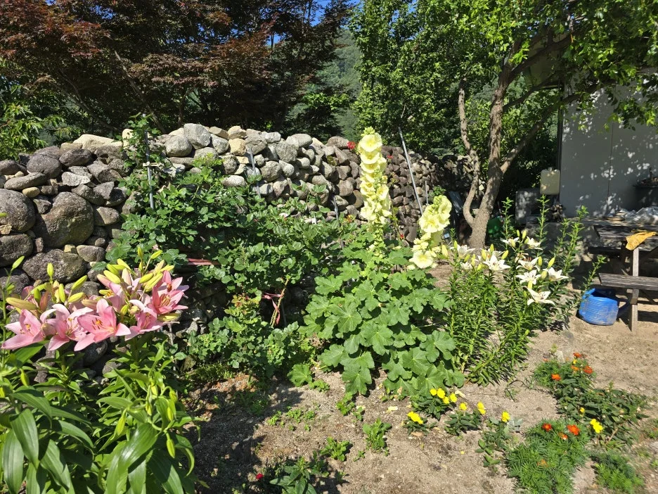 KakaoTalk_20250623_164743987_21.jpg?type=w1