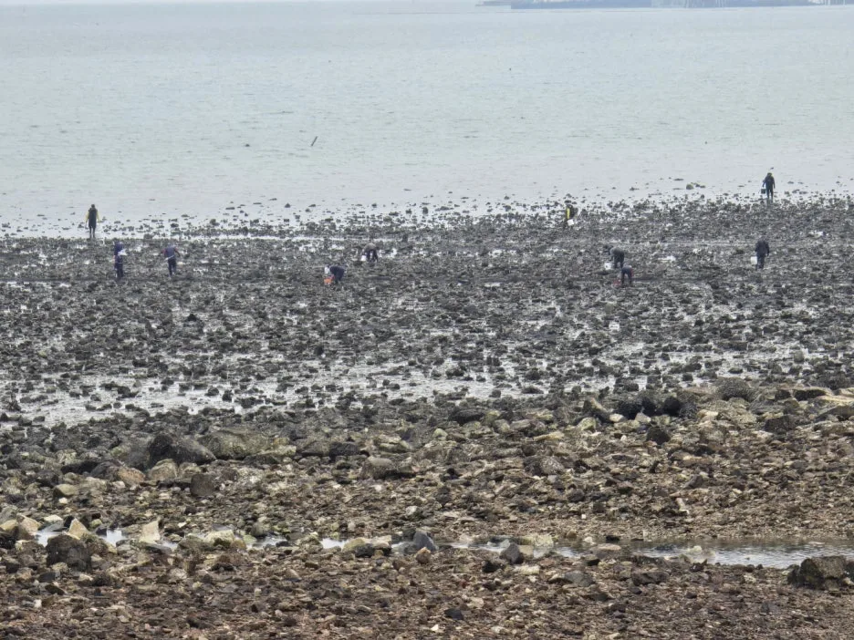 KakaoTalk_20241116_023630166_04.jpg?type=w1