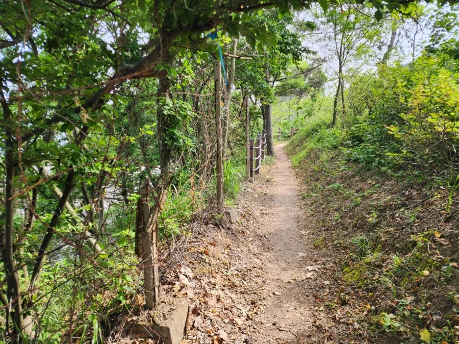 KakaoTalk_20240605_161917270_21.jpg?type=w1