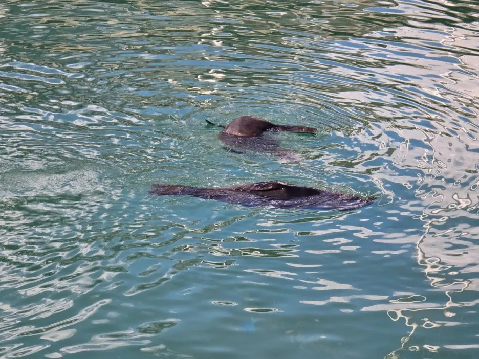 KakaoTalk_20250406_093247202_24.jpg?type=w1