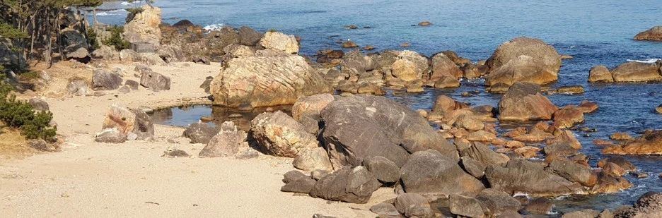 SE-ea2fb0b3-1920-4efa-b760-3a7116b7775e.jpg?type=w1