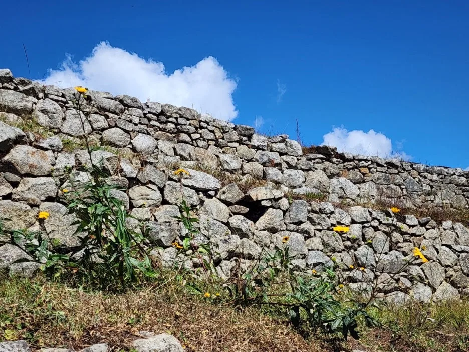 KakaoTalk_20240711_091609717_12.jpg?type=w1