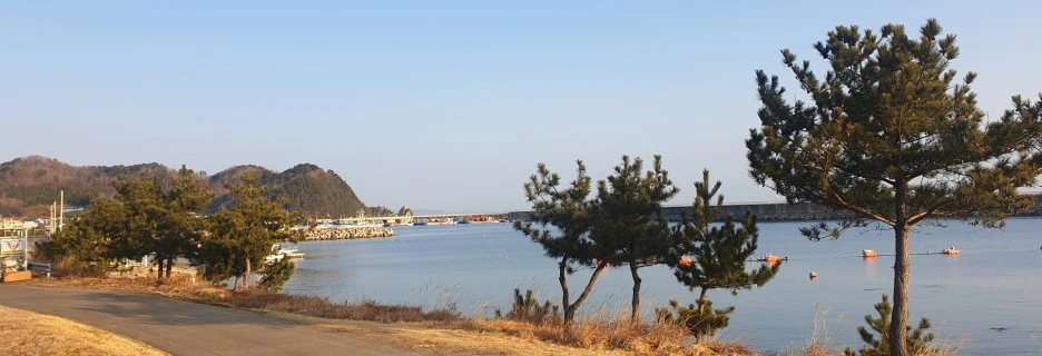 SE-b714c882-24a3-41c8-adbf-8ef08b18f640.jpg?type=w1