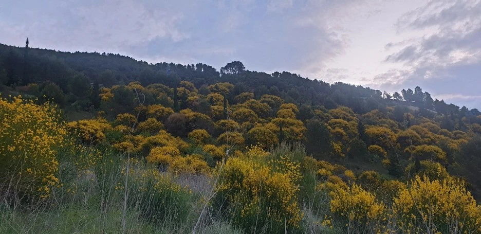 KakaoTalk_20220524_081743642_03.jpg?type=w1