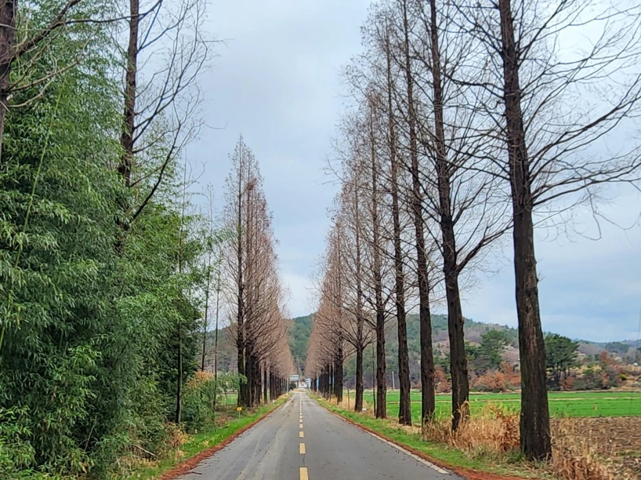 KakaoTalk_20230324_023416967_17.jpg?type=w1