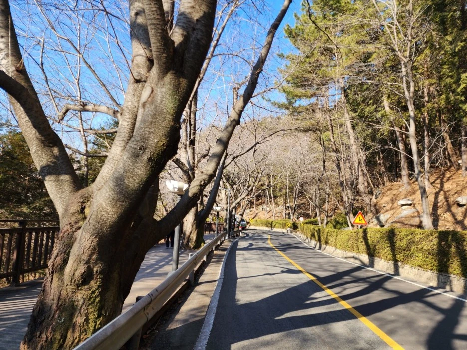 KakaoTalk_20230205_061347440_03.jpg?type=w1