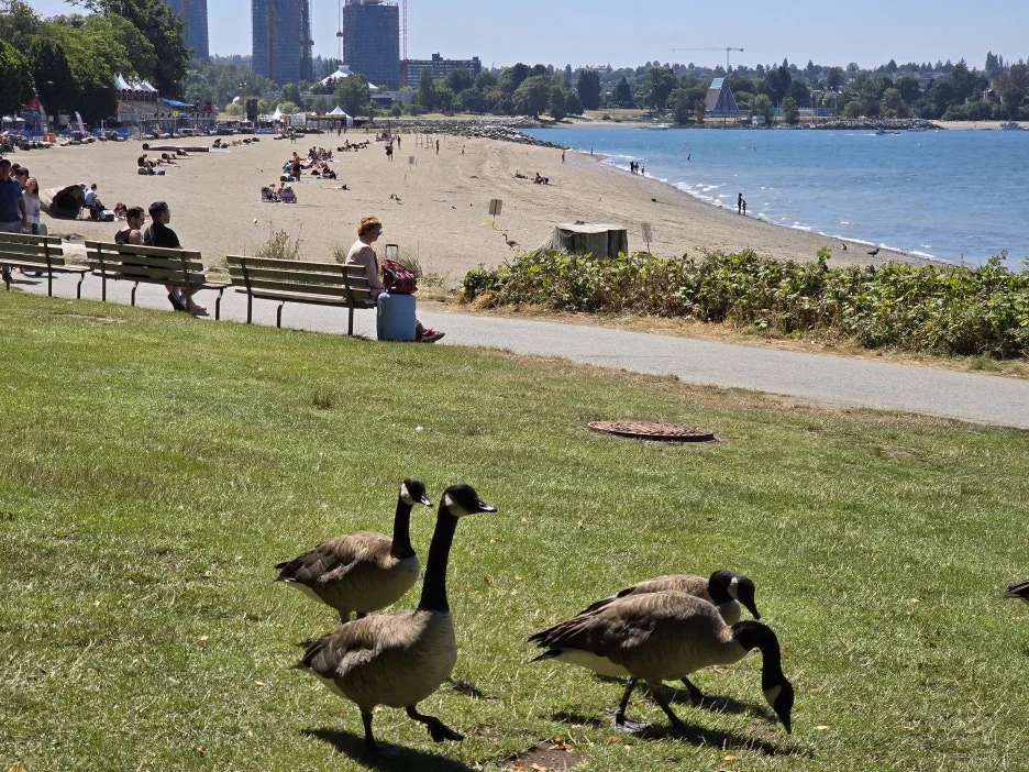 KakaoTalk_20250724_030728455_29.jpg?type=w1